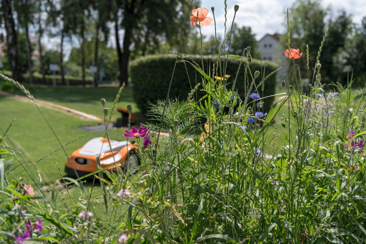 Biodiversitet
